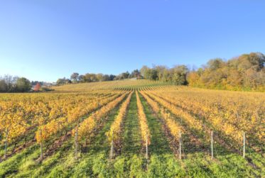 Magnifique Duplex avec Vue Panoramique sur le Lac et les Vignes